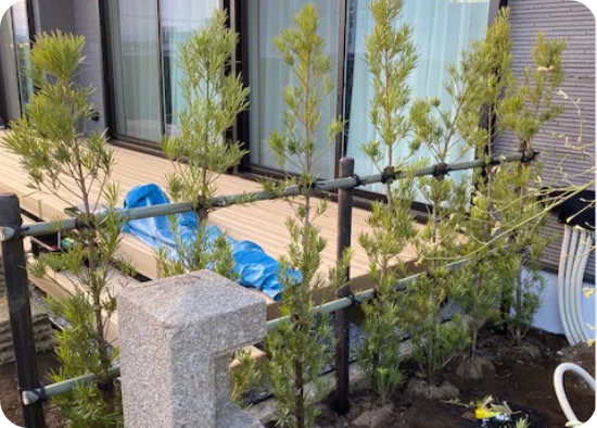 植栽・移植・支柱
